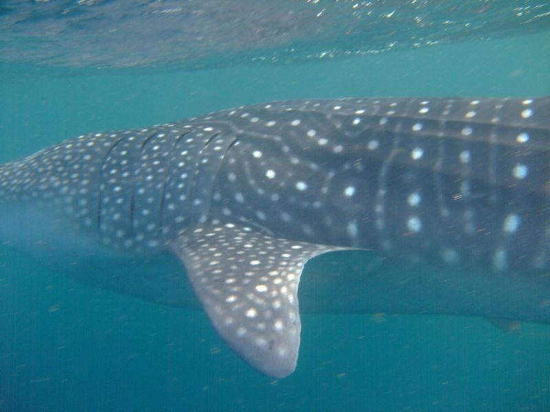 bcb5b64a-5d4a-4549-91c3-8789f6f2ca51