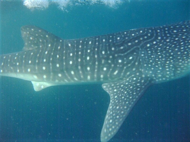 bcb5b64a-5d4a-4549-91c3-8789f6f2ca51