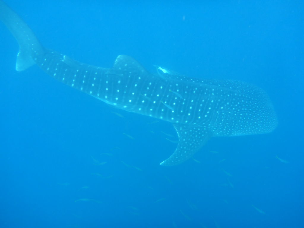 0c73eb3d-c87a-4359-ac91-9b8f43b1aa82