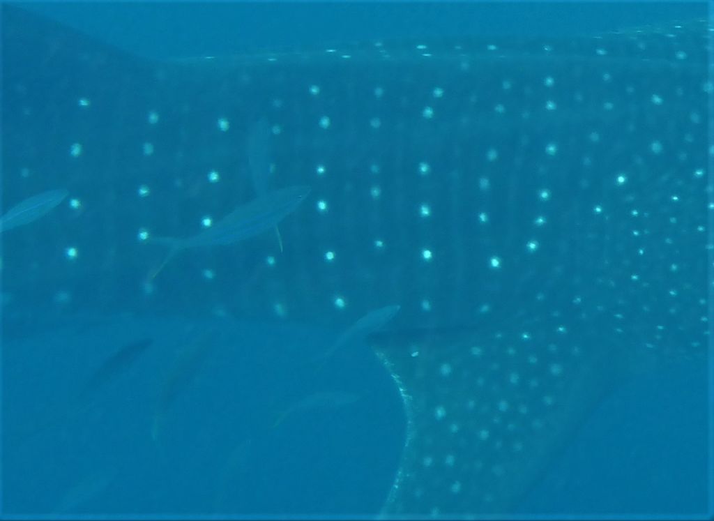 0c73eb3d-c87a-4359-ac91-9b8f43b1aa82