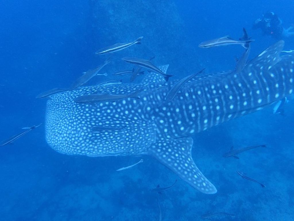 557dffe6-6557-47c3-bc44-929928fedfbc