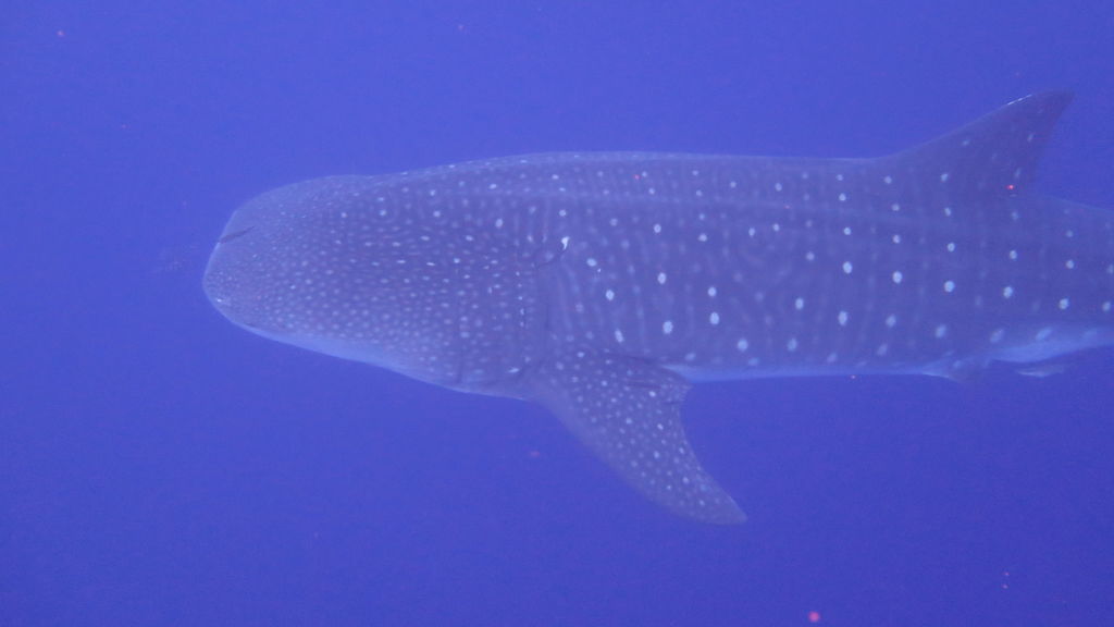 cbb0a567-751e-45df-b00a-15f589d1ddd9