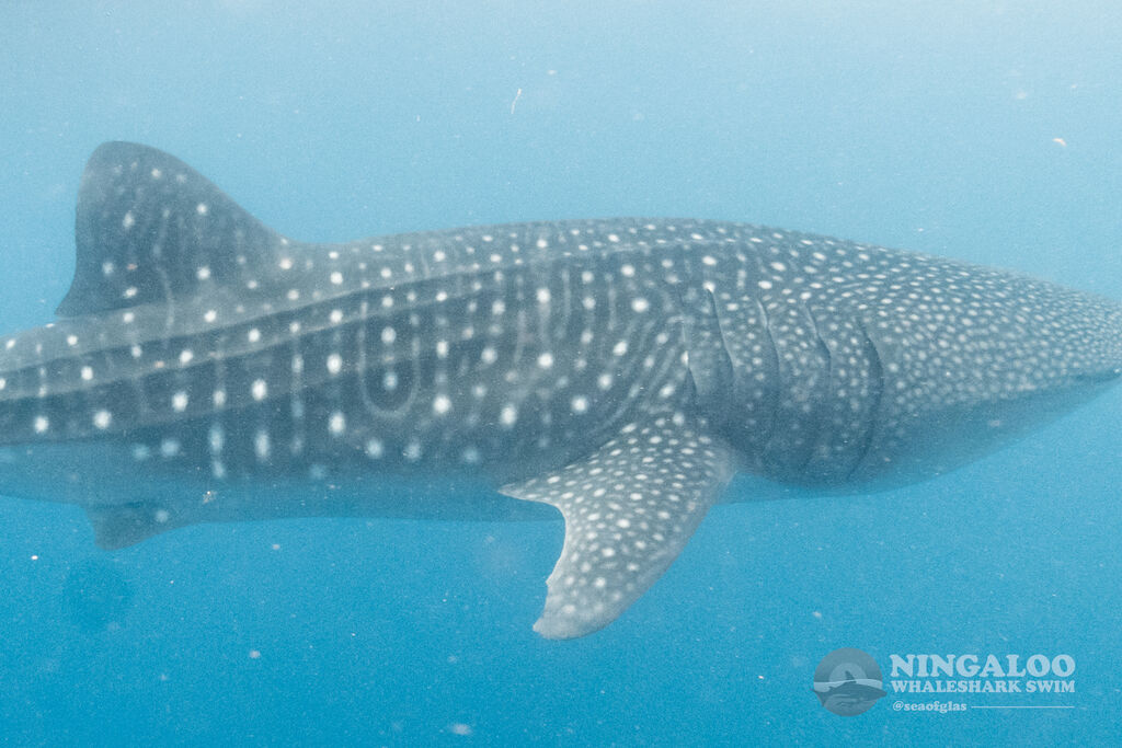 9516f62c-dab2-4f38-906d-5c22fee8de31