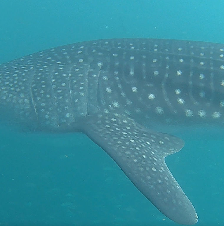 d6b46977-caed-4570-81d6-c06c54142f5b