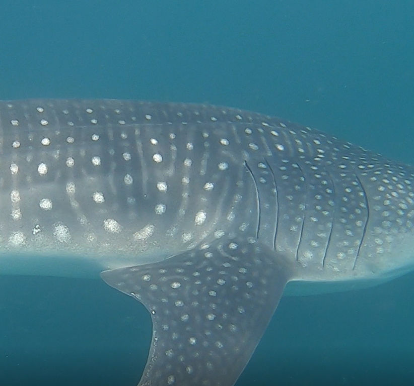 d6b46977-caed-4570-81d6-c06c54142f5b