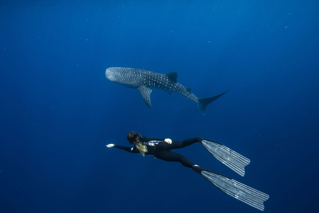 65e35faf-dd71-42e3-ac74-92f435d7143a