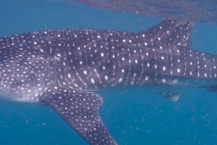 56e1db1c-1e31-4524-8c8f-1f6577bb76bc