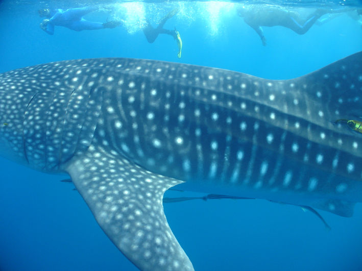 88a99335-7509-49dc-8b76-db7ff974afa2