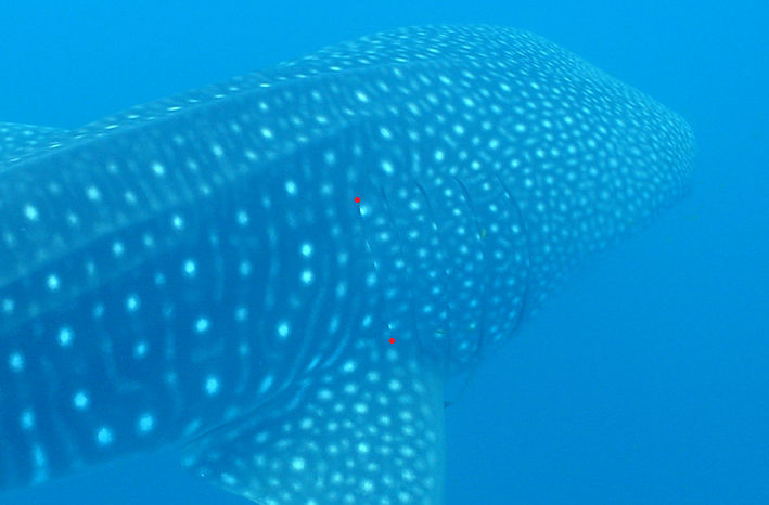 88a99335-7509-49dc-8b76-db7ff974afa2