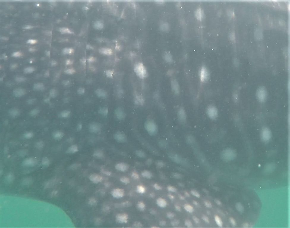 0787d9d3-a1d5-453e-9108-604d99e4027d