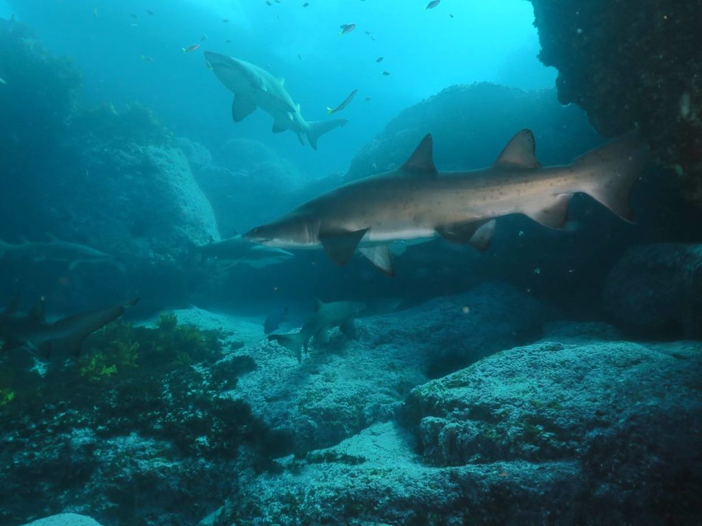 24fa1d83-168a-4baa-b8d9-9a645c9deba8