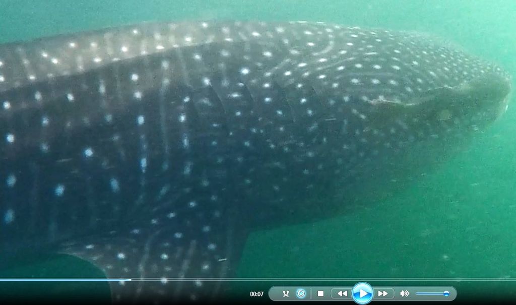 6a2960bd-0f58-4a5d-a08c-1753a4447acd