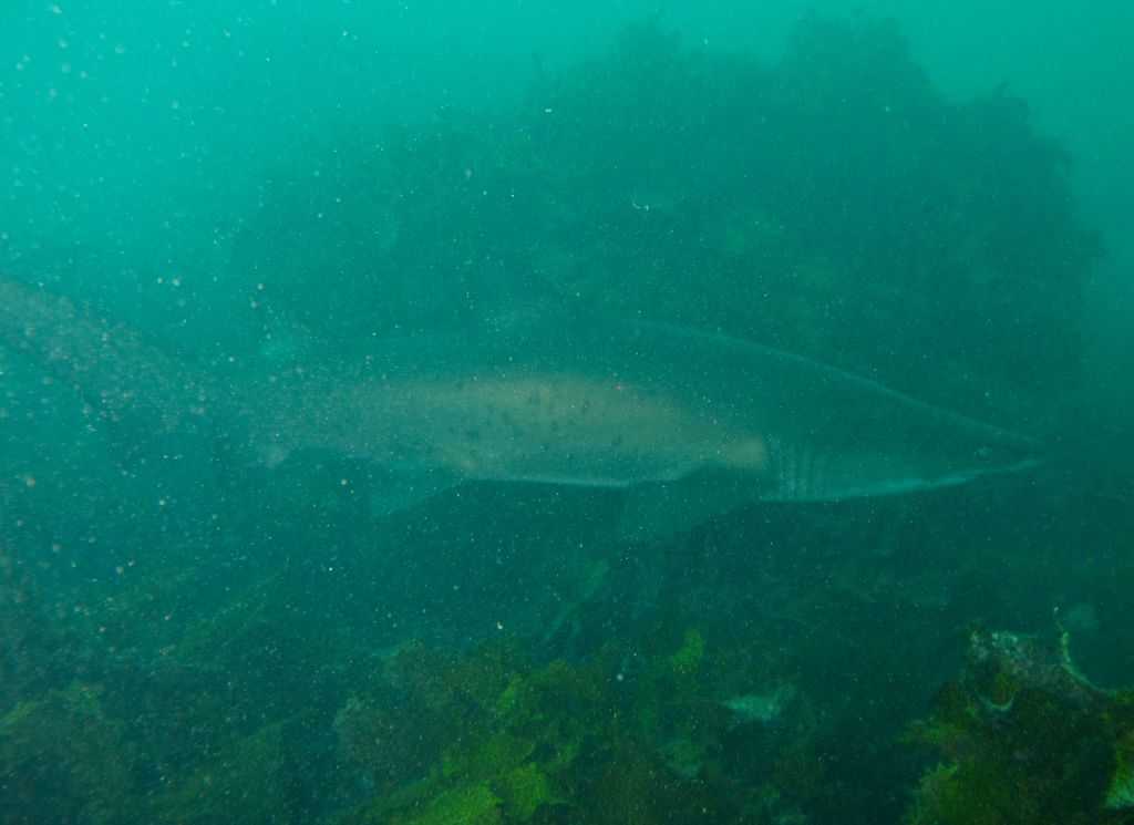 33aa0708-203e-40a0-9293-91a812ff8465