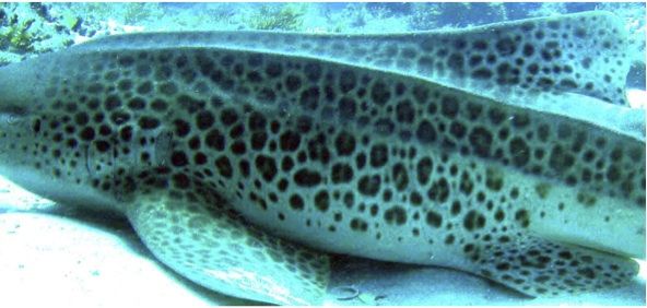 cc7fa32a-73e9-4979-bfff-0c3510016f58