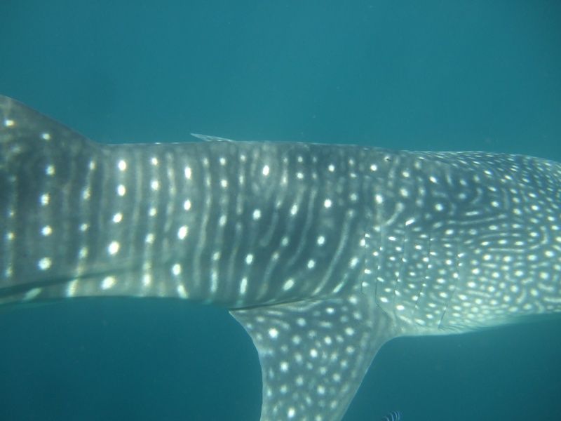 1aff05a6-f38d-4be0-a42e-85ccc774f273