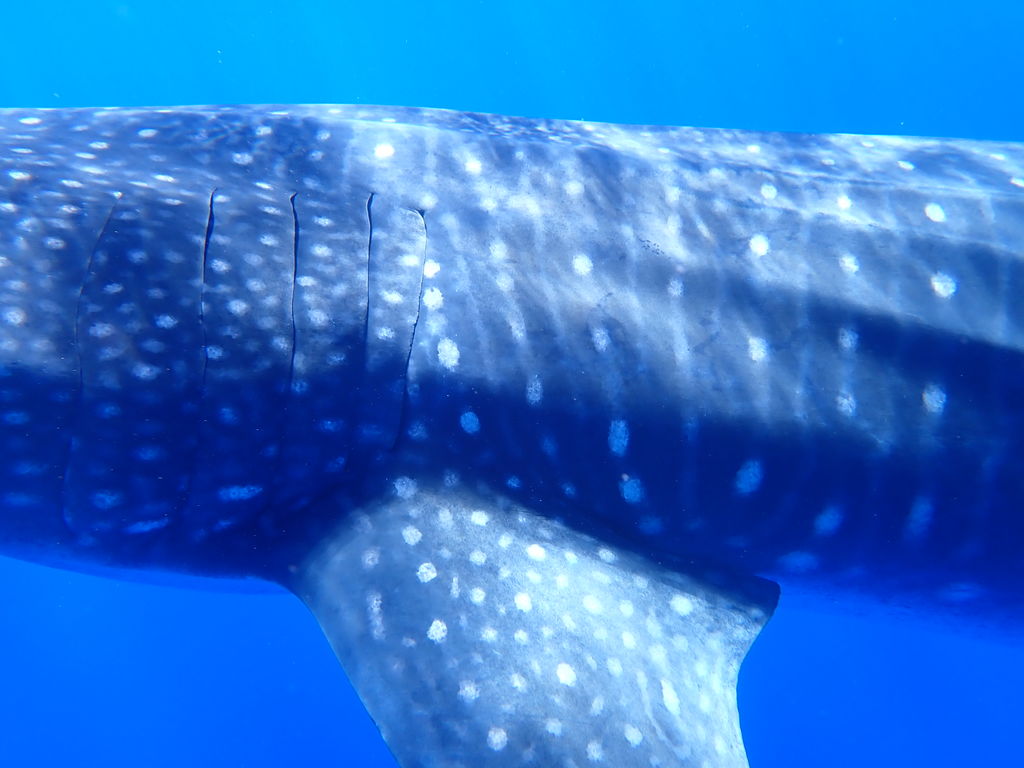 f06ef6df-617b-470d-840a-7393a47cf2c9