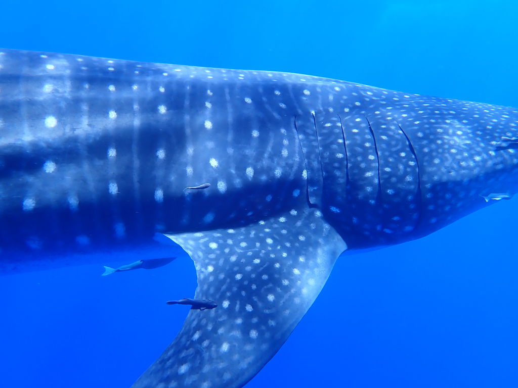 f06ef6df-617b-470d-840a-7393a47cf2c9