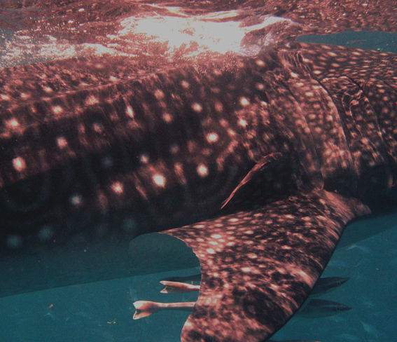 741495b2-d35b-4293-98db-6fecdbbe9479