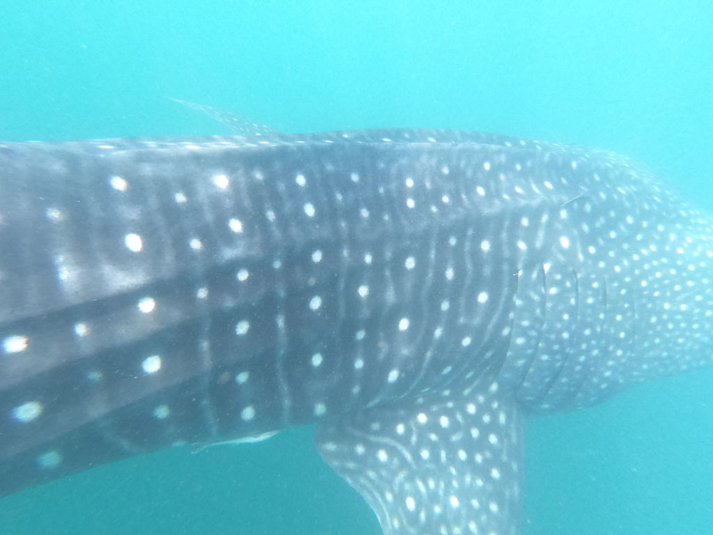 4faa6695-5287-473c-ad7c-6880f7992263