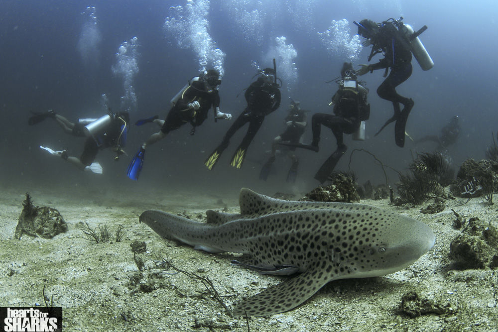 b9e70cdc-397e-4270-be9b-56bf6d5ac2a2