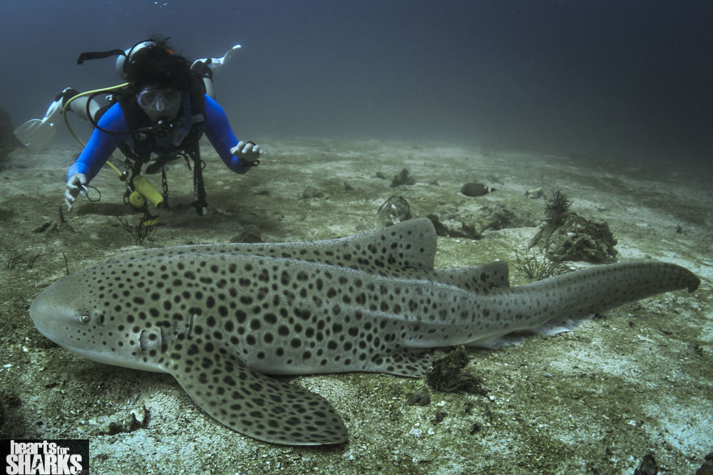 b9e70cdc-397e-4270-be9b-56bf6d5ac2a2