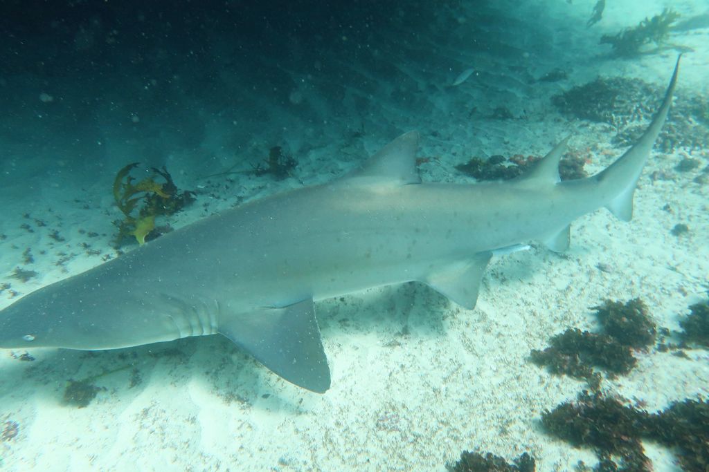 7f87f71f-2922-4984-8de2-e5a766654e07