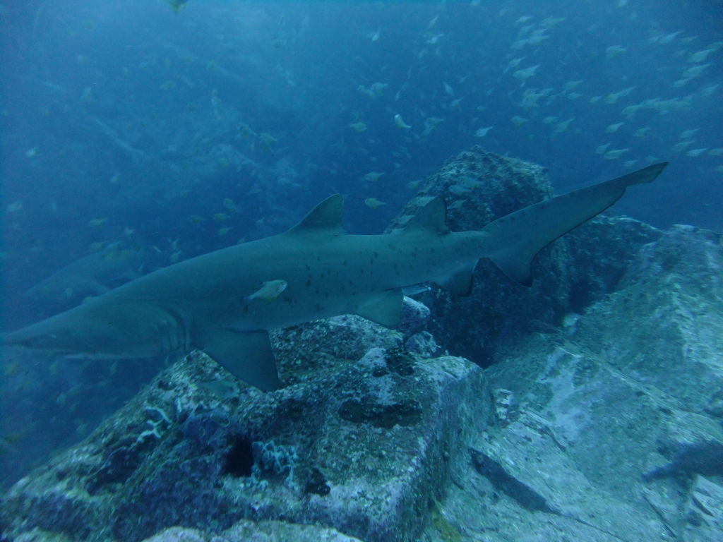 cc7eb717-2006-4d55-a5ec-9543864855b1