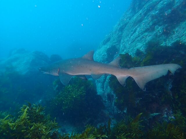 c0404fd8-16f1-41ee-86b5-31e571febed4