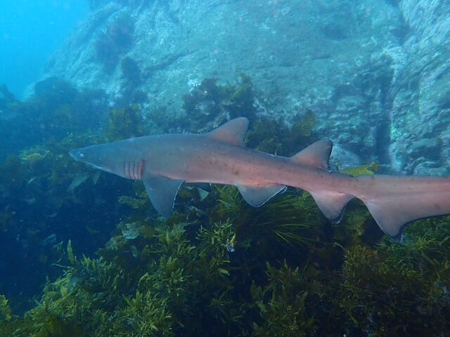 c0404fd8-16f1-41ee-86b5-31e571febed4