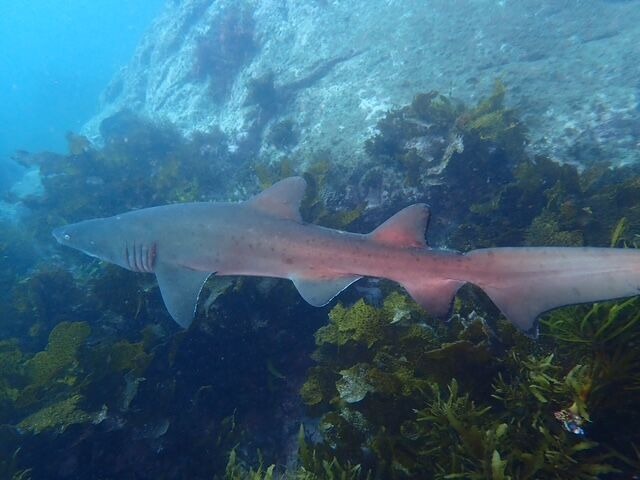 c0404fd8-16f1-41ee-86b5-31e571febed4