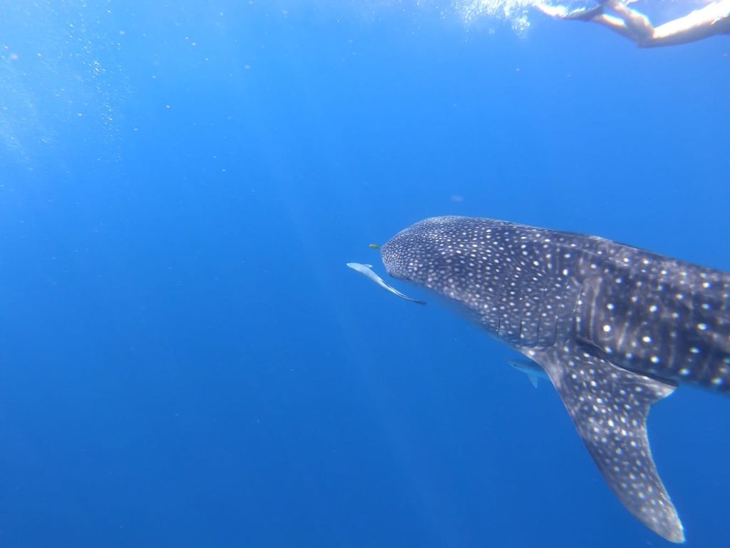 331c52eb-9a00-4fd8-8ca3-5df296fbc487