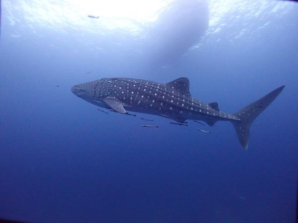 49b3aa48-be6f-4824-8f0f-67d396735dd0