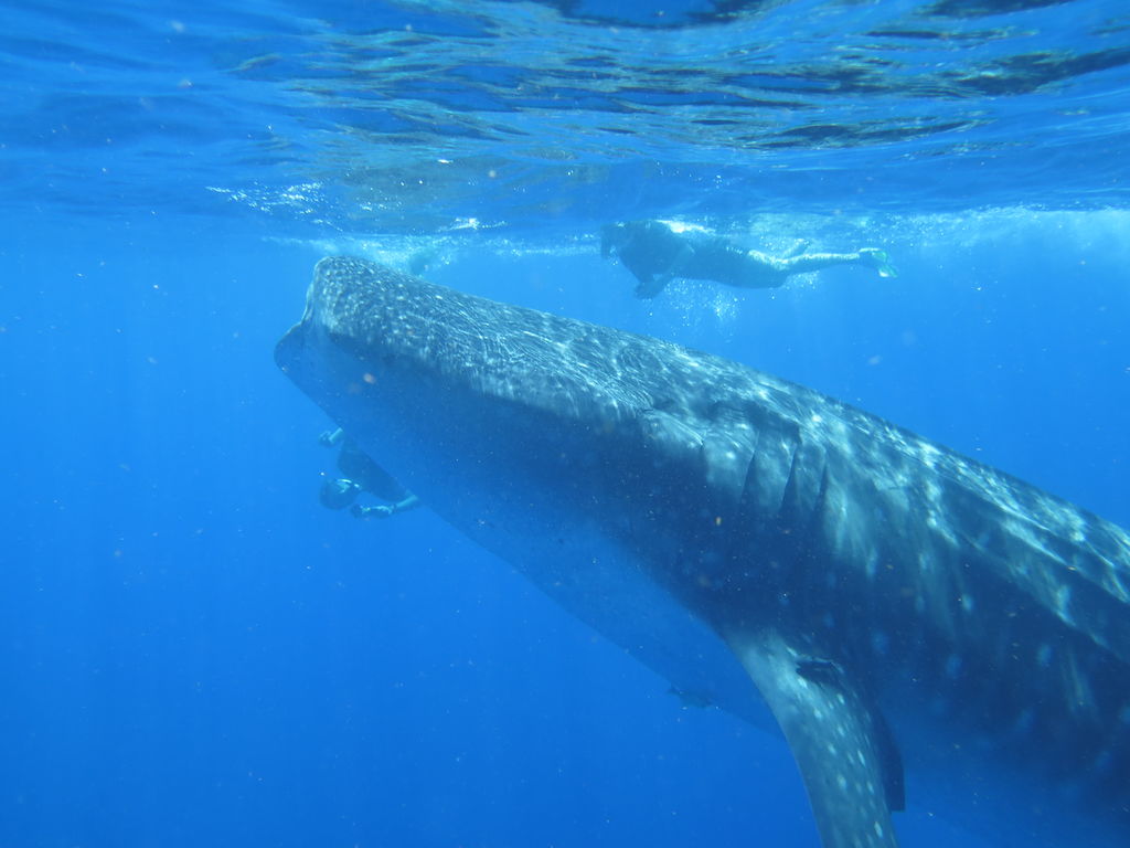 c47f3747-7666-45a7-bee5-1cde0b274041