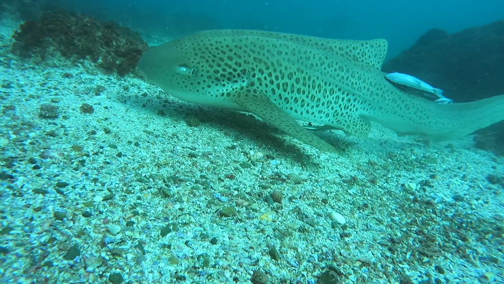 66ccb5de-0a12-4dcb-aa89-eef02357bfac