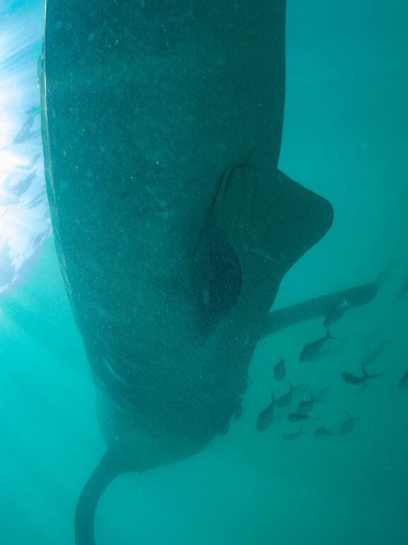 7f30ebd2-b887-4b92-93f7-3b0fa1dc52cc