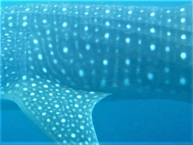 aba8887a-f23c-4703-a725-db83afbecc87