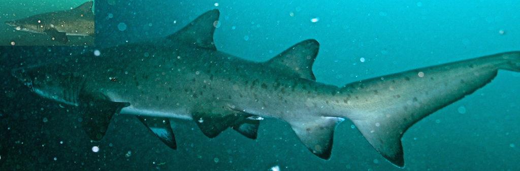 6628b82f-b099-48d4-8794-8032ed51ef88