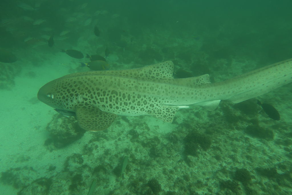 e3ec3514-0540-4f9f-aa21-a19c4ffeaeca