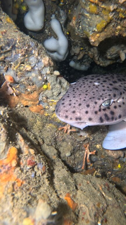 51f70797-b6e4-4b5e-944b-353a105df54e