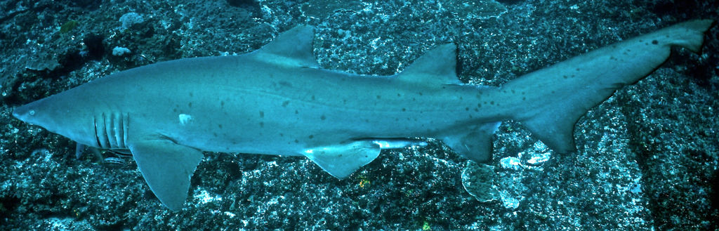 ec1ecce6-580a-48a9-80bb-fd6c40789e08