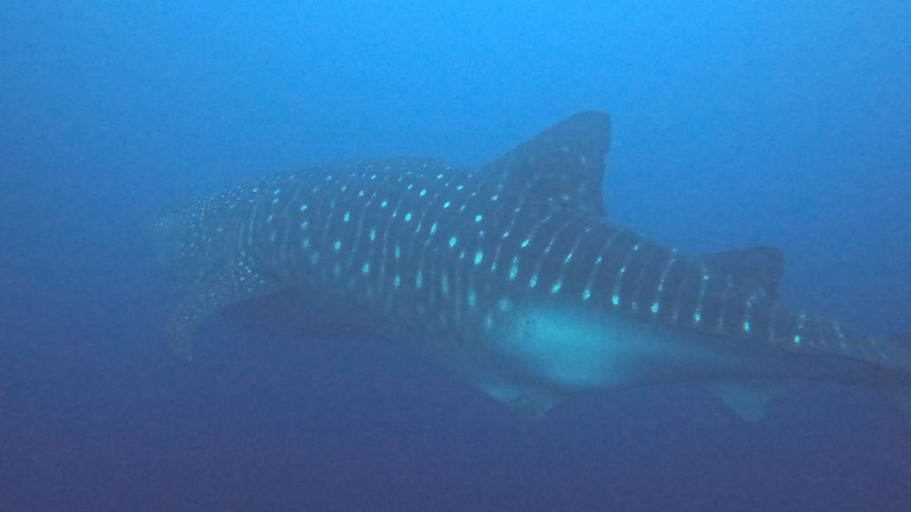 6aa1771d-c5e1-498e-917c-c84d93e0cd89