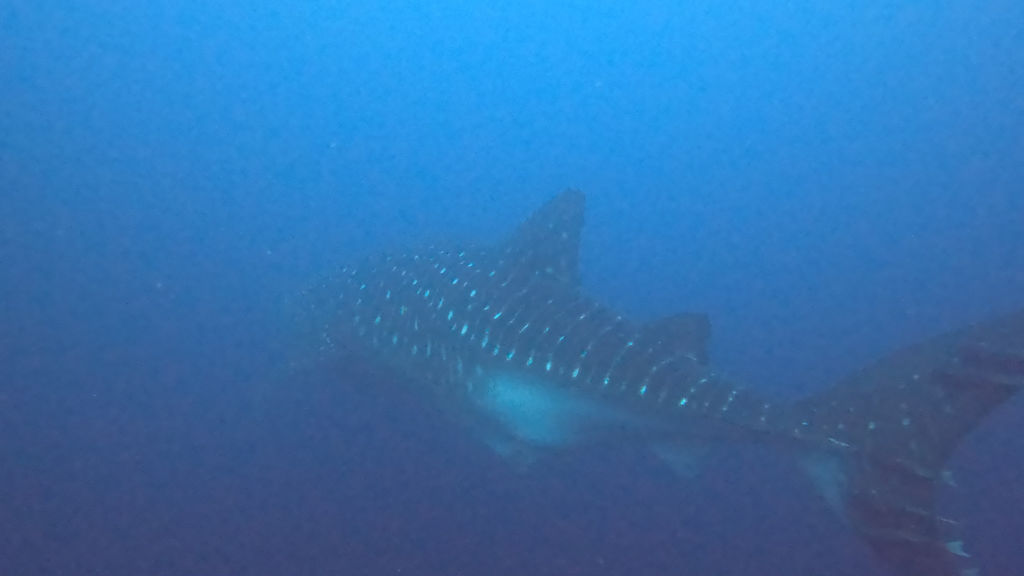 6aa1771d-c5e1-498e-917c-c84d93e0cd89