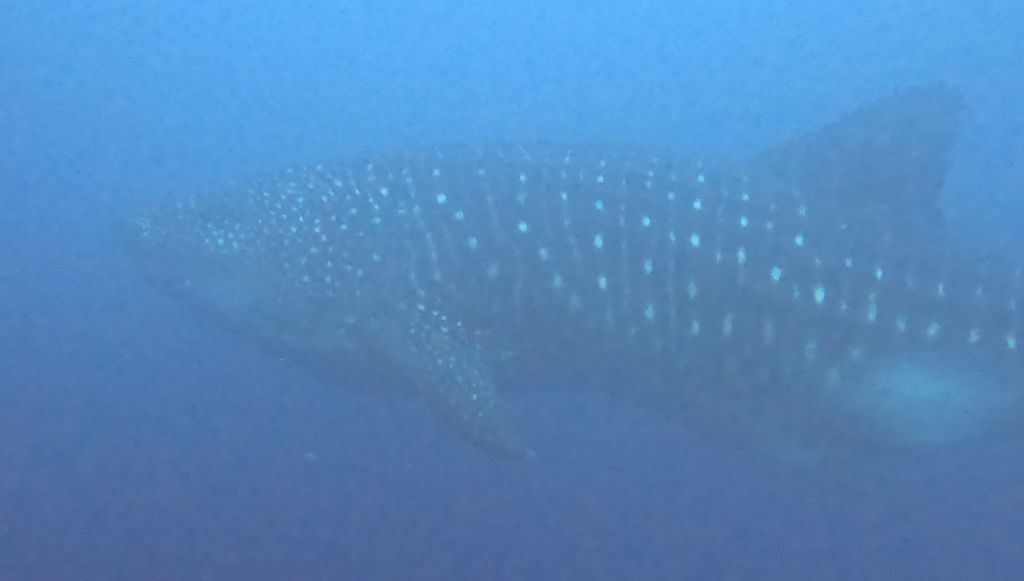 6aa1771d-c5e1-498e-917c-c84d93e0cd89