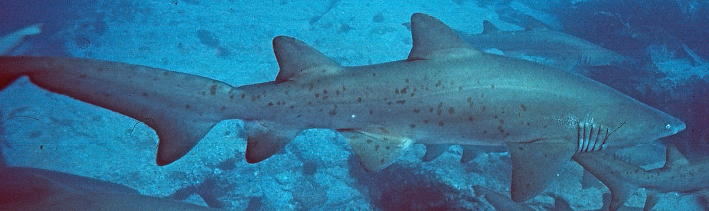 8e5f244c-423d-4d27-bb2a-e8fc3a5da5b1