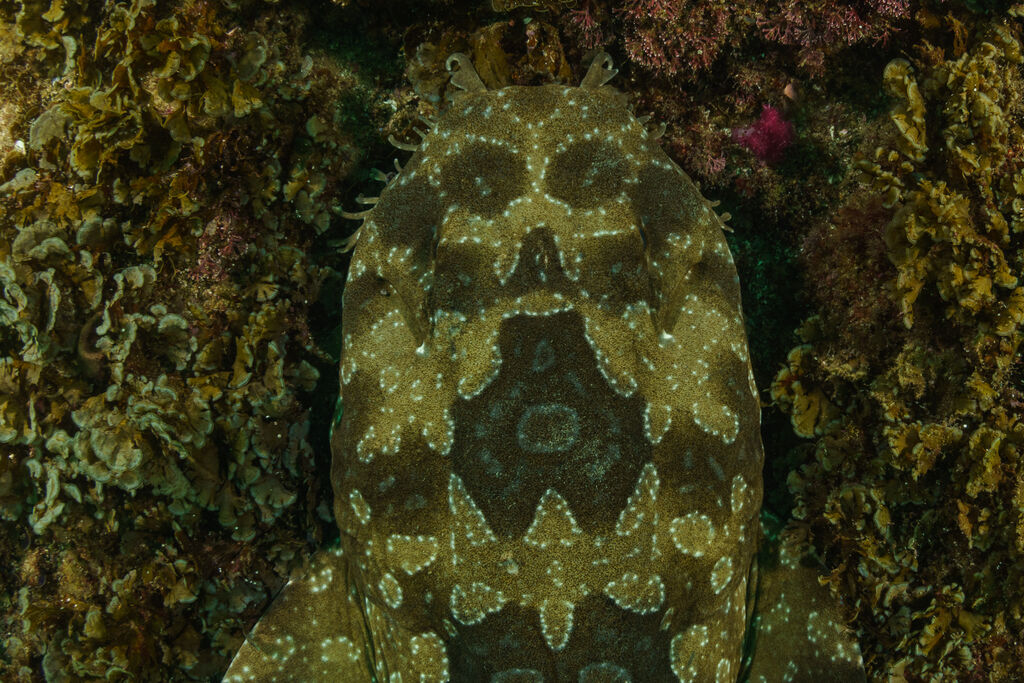 80ebc260-1dd6-40fb-aecb-05e3ae158ceb