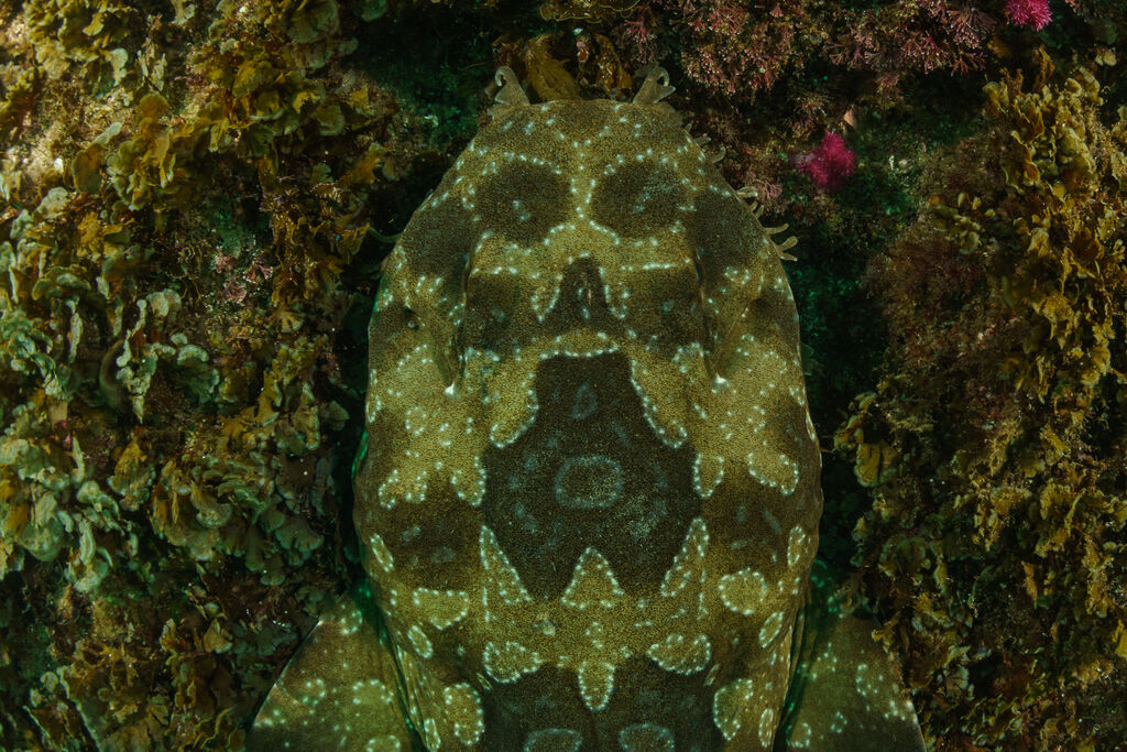 80ebc260-1dd6-40fb-aecb-05e3ae158ceb