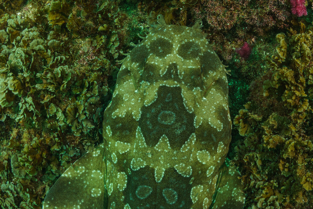 80ebc260-1dd6-40fb-aecb-05e3ae158ceb