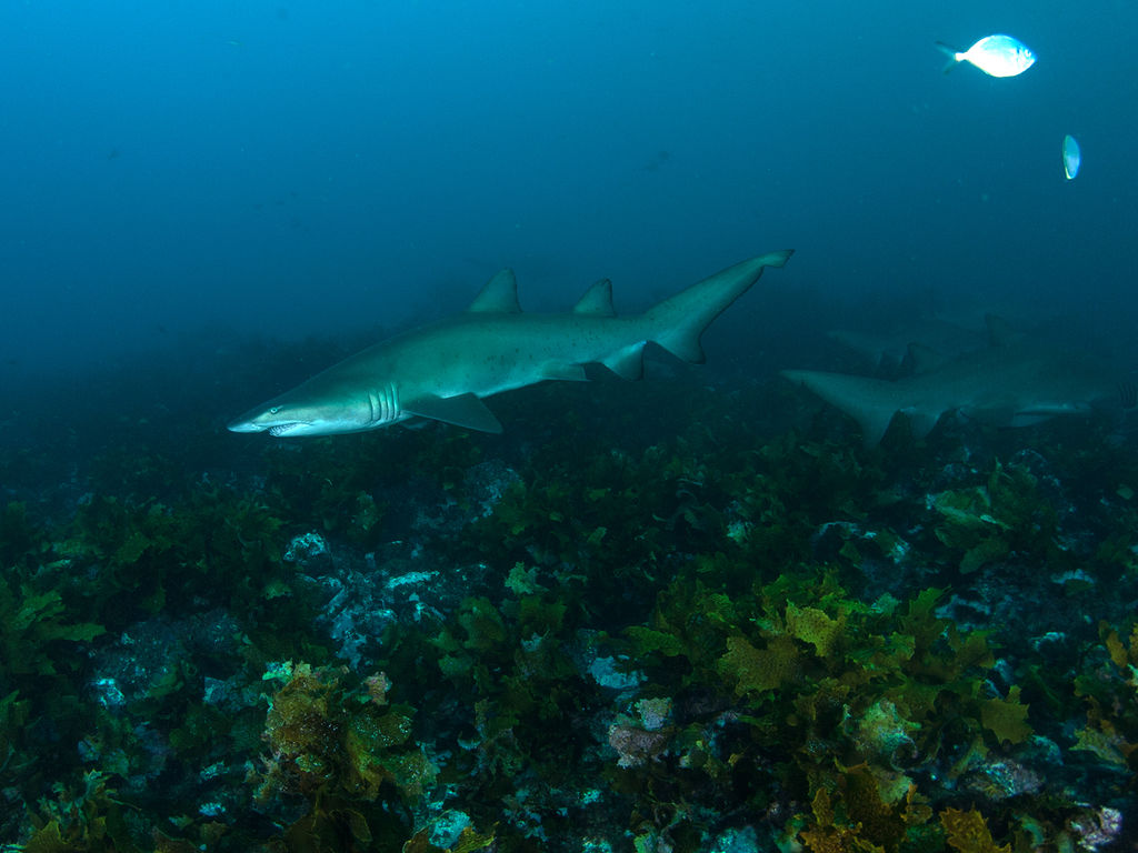 d563b574-0a2a-47d4-9d31-221020b03b8a