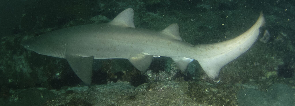 85fe33f7-e8bb-450f-8627-2923f226433a