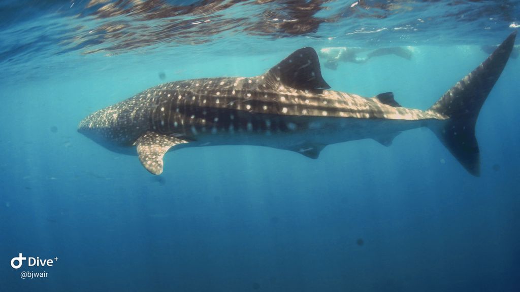 08a8fa1f-3933-427f-83f8-65d2f24c93a7